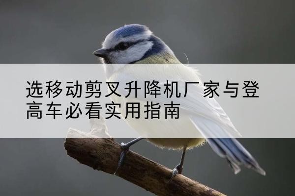 金阳电动升降机厂家-选移动剪叉升降机厂家与登高车必看实用指南