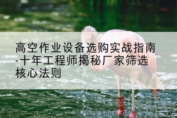 金阳剪叉式升降机厂家-高空作业设备选购实战指南-十年工程师揭秘厂家筛选核心法则