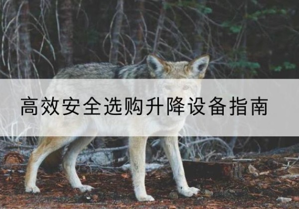 金阳升降货梯厂家推荐-*安全选购升降设备指南