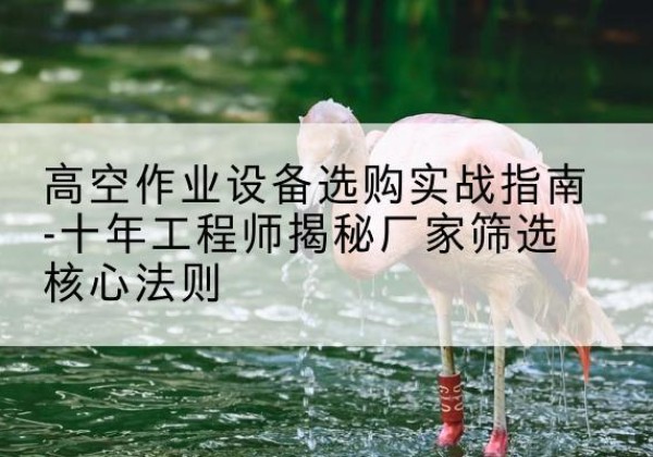 金阳剪叉式升降机厂家-高空作业设备选购实战指南-十年工程师揭秘厂家筛选核心法则